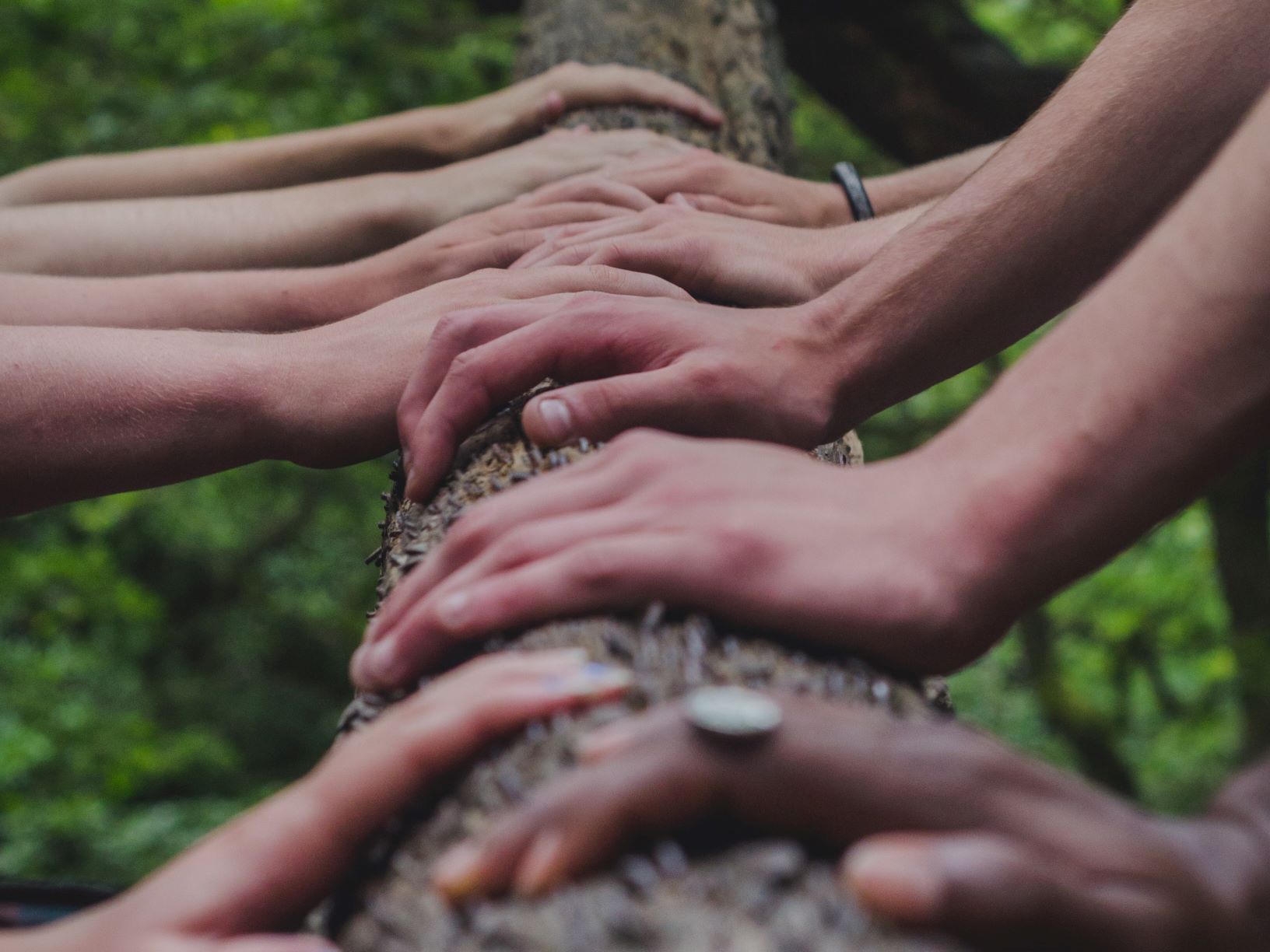 Alternating hands resting on a log from a diverse collection of people