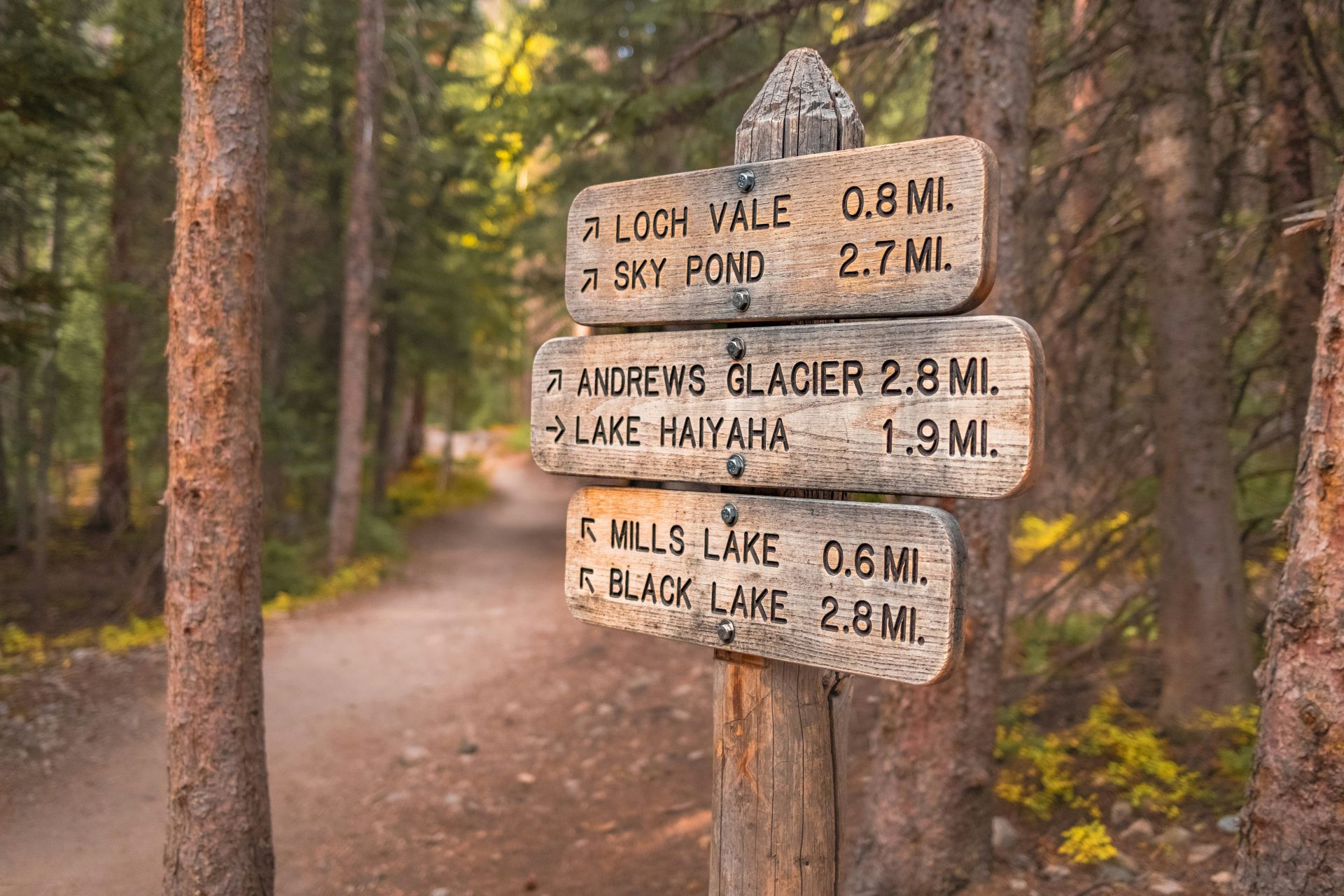 Colorado Rocky Mountain National Park Trailhead
